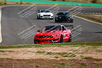 media/Feb-25-2024-Speed Ventures (Sun) [[b9a2a97a4d]]/Mustang Drivers Club/Session 3 (Turn 2)/